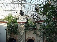 432 Longwood Gardens [2008 August 23]